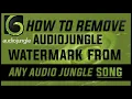 Remove jungle Watermark in less than 2 Min Flitzip