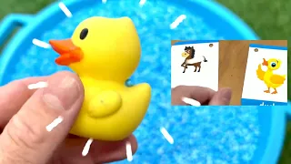 Learn Animal Letters and Purple Toys from the Vending Machine