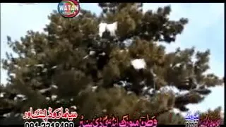 نغمه وربل چپه کړی او راسته کړی دندنها