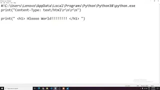 Python CGI setup