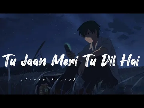 Download MP3 Tu Jaan Meri Tu Dil Hai (slowed Reverb) song lyrics ❤️