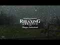Heavy Rain Storm & Thunder Sounds for Sleeping | Help Study, PTSD, Insomnia & Tinnitus