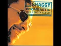 Boombastic - Shaggy
