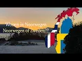 Download Lagu Emigreren naar Zweden of Noorwegen: Zoek de verschillen