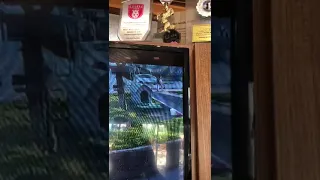                       دندنها