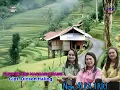 Download Lagu New ALFA TRIO || PAPININTUNG MAGHAGHURANG || Cipt. Dicson haling || Prod. JP2 Record.