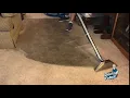 Professional Carpet Cleaning Service in Jersey City New Jersey
