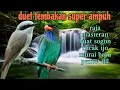 Download Lagu raja tembak tajam jingjing petulak dan Tengkek Buto