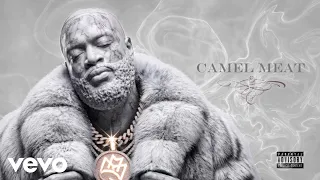 Rick Ross Deon Cole - Camel Meat Visualizer