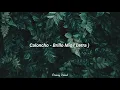 Brillo Mío - Caloncho ( Letra )