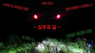 [자동차 담력시험] 강원도 화천과 춘천에 있는 추곡산 방문! 정말 역대급 비포장길이었습니다... 썸네일