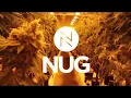 NUG Virtual Tour