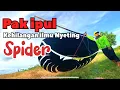 Lagu pak ipul MUMET lupa cara nyeting spider