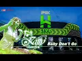 Download Lagu Dj Katty Butterfly - Hw Live House PIK - Baby don't Go Remix