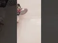 ASMR Hot Shower