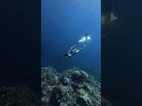 silence sounds better down here🌊 #diving #ocean