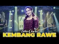 Download Lagu Intan Chacha - Kembang Rawe | Duta Nirwana Music [OFFICIAL]