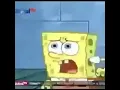 Download Lagu Spongebob butuh k#nt*l