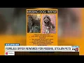 Families offer rewards for missing stolen pets