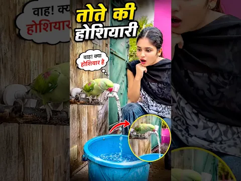 🦜 तोते की समझदारी  #parrot #trending #viral #video #dosti #shortvideo #viralvideo ❤️