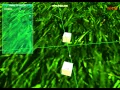 Integrating Bullet Physics Debug Drawer with DirectX 11 1