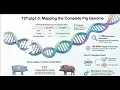 Unlocking the Pig Genome - T2T