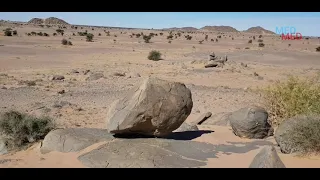 زمور الصحراء الطرب الحساني الهول 