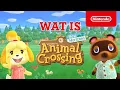 Wat is Animal Crossing: New Horizons? (Nintendo Switch)