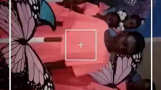 استعراض فرقة فراشة اجمل فرقه 