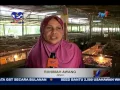 Lagu BIZ MALAYSIA – RAJA PUYUH KELANTAN [29 OGOS 2016]