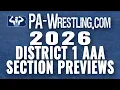 2026 District 1 AAA Sectional