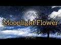 Download Lagu Moonlight Flower (Lyrics) | Michael Cretu