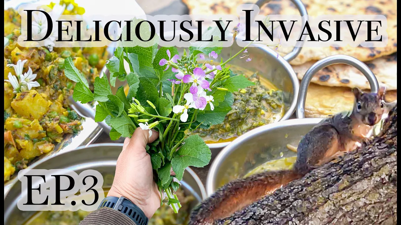 Deliciously Invasive Ep.3   Invasive Squirrel and Plants For Indian Feast