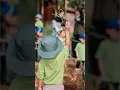 Download Lagu Nanem pohon #shorts #short