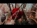 ياسر عبد الوهاب -  زيد الحبيب - قلبي - ترفة وتحب الغزل