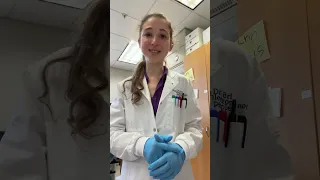 The end of an era Highlights from life in the Bibel lab SMC according to Haley Nicholas
