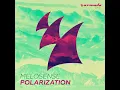 Polarization