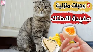 5 Easy And Delicious Meals For Cats Using Homemade Ingredients Your Cat Will Love It 