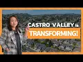 The truth about Castro Valley Neighborhoods Before you buy or Sell