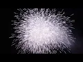 Download Lagu Firework  26/4/2019 - Cua Lo Town - Vietnam
