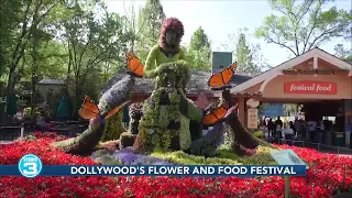 Download Dollywood's Flower \u0026 Food Festival MP3