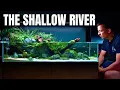 Download Lagu BUILDING A 120CM SHALLOW RIVER AQUASCAPE! Full Step by Step Tutorial