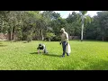 FWC Python patrol training