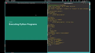 Python 3 Working with Python s Interactive Interpreter