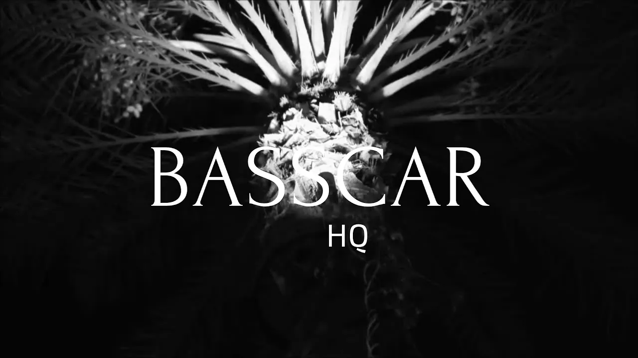 Sean Paul - She Doesn't Mind (NORTKASH & OSIS Remix)(BASS)