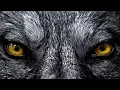Download Lagu Red Shadow Singers - Wolf Song