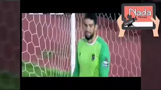 الاسد يمرض ولا يموت دندنها