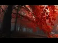 Download Lagu My Sadness Sergey Grischuk