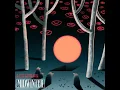 Chasing Butterflies - Midwinter