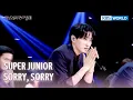 Download Lagu SUPER JUNIOR - 쏘리 쏘리 (SORRY, SORRY) (The Seasons) | KBS WORLD TV 250801
